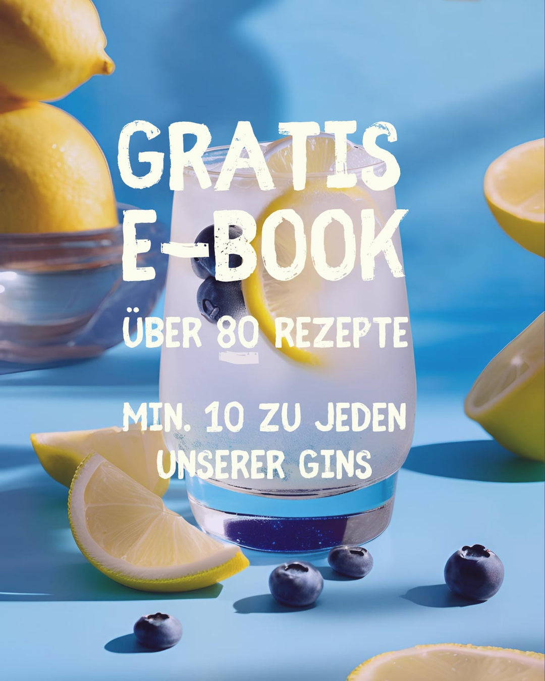 Blueberry Gin - GinFreunde - Eisenberg Gin Freunde