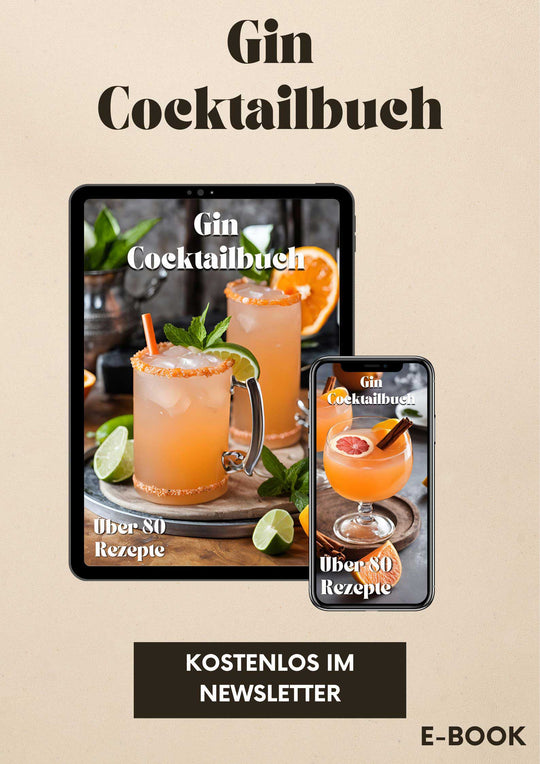 Cocktailbuch Gin Freunde